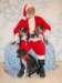 santapaws2012_0410_30_small.jpg