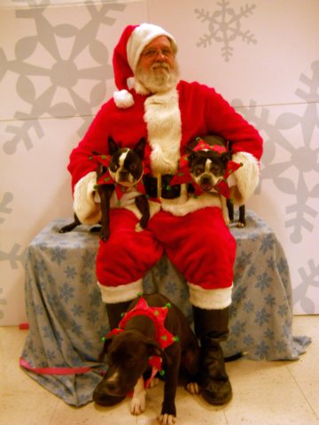 santapaws2012_0410_31.jpg