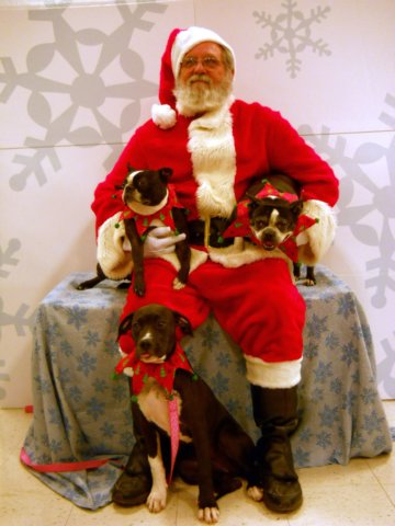 santapaws2012_0410_34.jpg