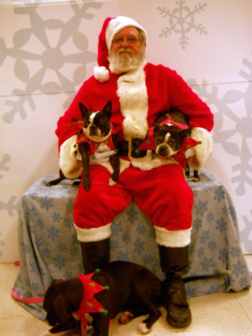 santapaws2012_0410_35.jpg