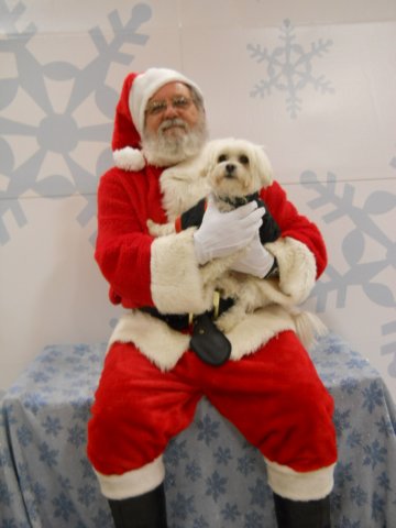 santapaws2012_0411_02.jpg