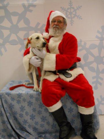 santapaws2012_0412_02.jpg