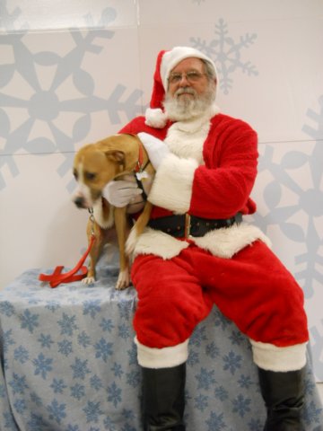 santapaws2012_0413_02.jpg
