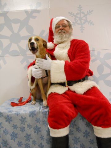 santapaws2012_0413_05.jpg