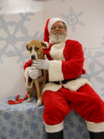 santapaws2012_0413_06.jpg