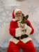 santapaws2012_0414_01_small.jpg