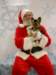 santapaws2012_0414_02_small.jpg