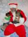 santapaws2012_0414_05_small.jpg