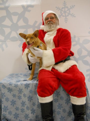 santapaws2012_0415_02.jpg