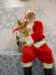 santapaws2012_0415_04_small.jpg