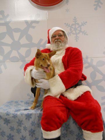 santapaws2012_0415_05.jpg