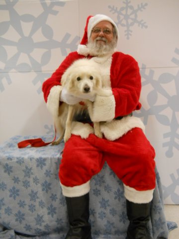 santapaws2012_0416_01.jpg