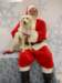 santapaws2012_0416_05_small.jpg
