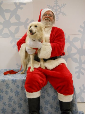 santapaws2012_0416_06.jpg