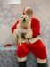 santapaws2012_0416_07_small.jpg
