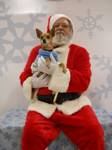 santapaws2012_0417_04.jpg