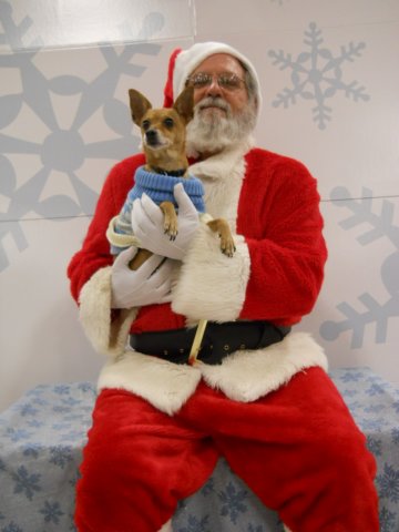 santapaws2012_0417_06.jpg