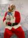 santapaws2012_0417_07_small.jpg