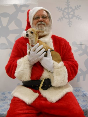 santapaws2012_0417_11.jpg