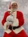 santapaws2012_0417_14_small.jpg
