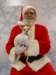 santapaws2012_0417_15_small.jpg