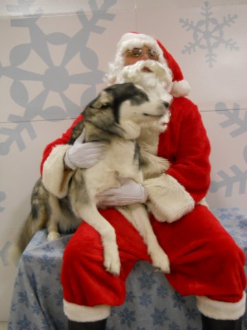 santapaws2012_0418_07.jpg