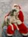 santapaws2012_0418_07_small.jpg