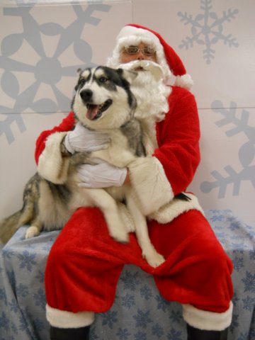 santapaws2012_0418_11.jpg