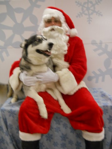 santapaws2012_0418_13.jpg