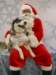 santapaws2012_0418_13_small.jpg