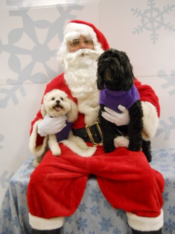santapaws2012_0419_02.jpg