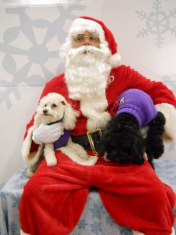 santapaws2012_0419_05.jpg
