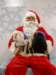 santapaws2012_0419_06_small.jpg