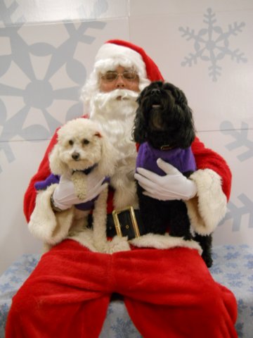 santapaws2012_0419_07.jpg