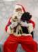 santapaws2012_0419_08_small.jpg