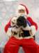 santapaws2012_0419_10_small.jpg
