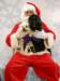 santapaws2012_0419_11_small.jpg