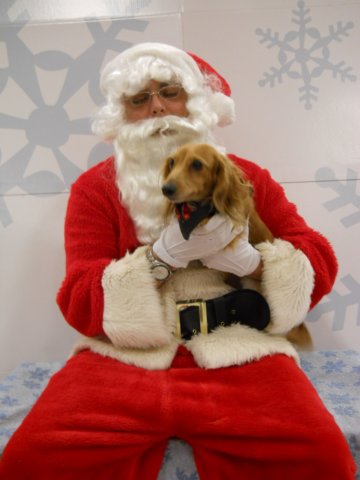 santapaws2012_0420_02.jpg