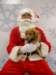 santapaws2012_0420_04_small.jpg