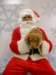 santapaws2012_0420_07_small.jpg