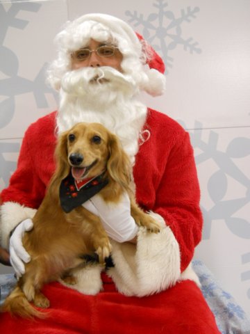 santapaws2012_0420_08.jpg