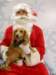 santapaws2012_0420_08_small.jpg