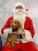 santapaws2012_0420_09_small.jpg