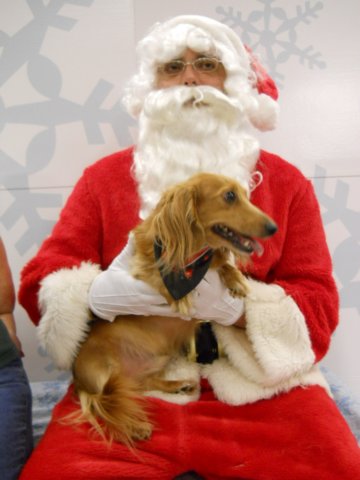 santapaws2012_0420_10.jpg