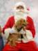 santapaws2012_0420_10_small.jpg