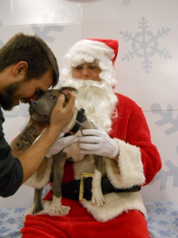 santapaws2012_0421_03.jpg