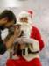 santapaws2012_0421_03_small.jpg