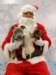 santapaws2012_0421_05_small.jpg