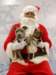 santapaws2012_0421_09_small.jpg