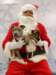 santapaws2012_0421_10_small.jpg